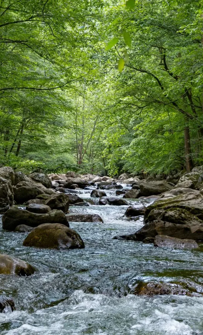 center of a stream