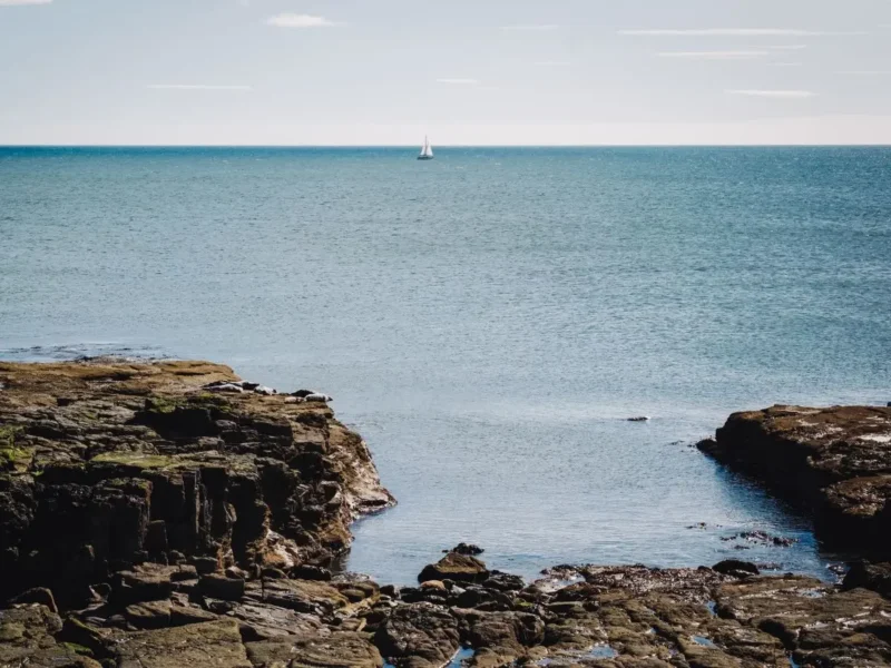 Shoreline