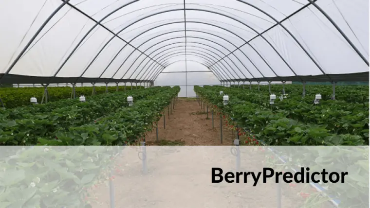 BerryPredictor