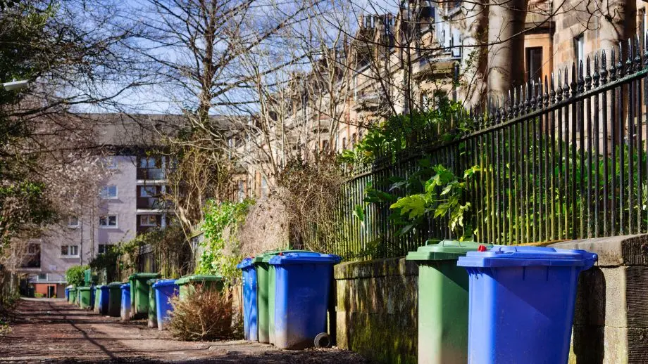 Bins on street