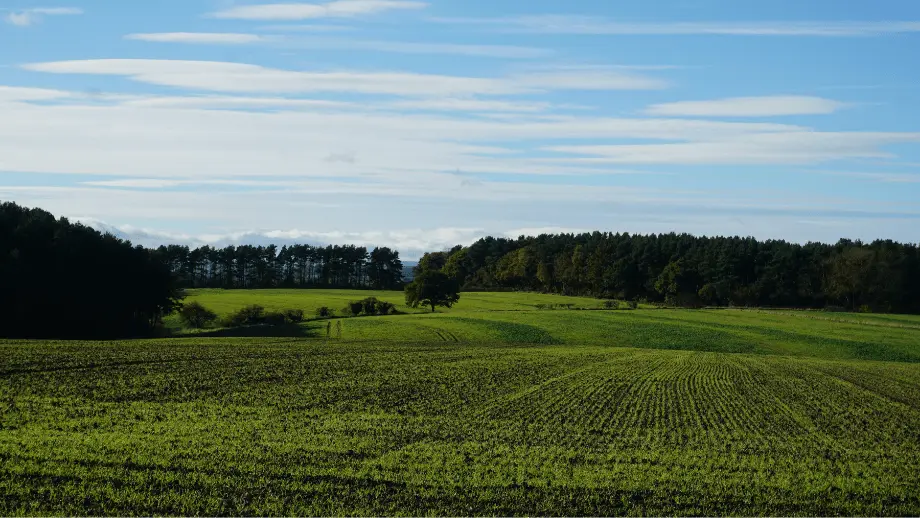 Countryside fields