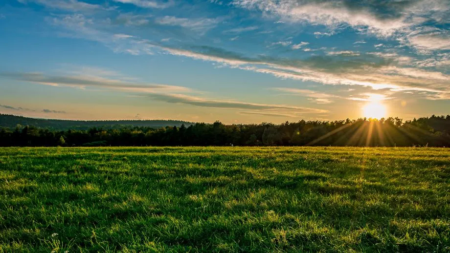 UK countryside