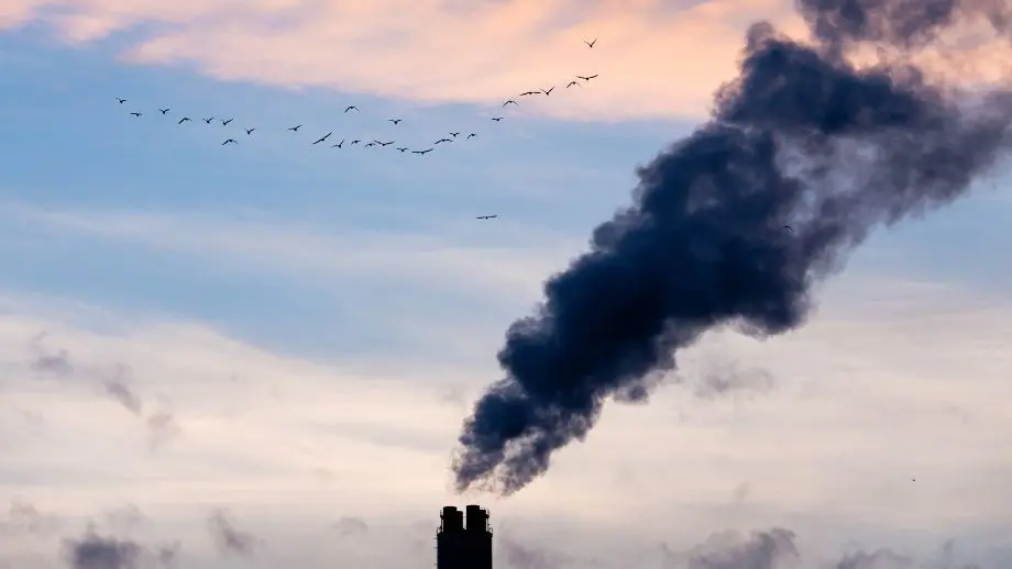 Emissions