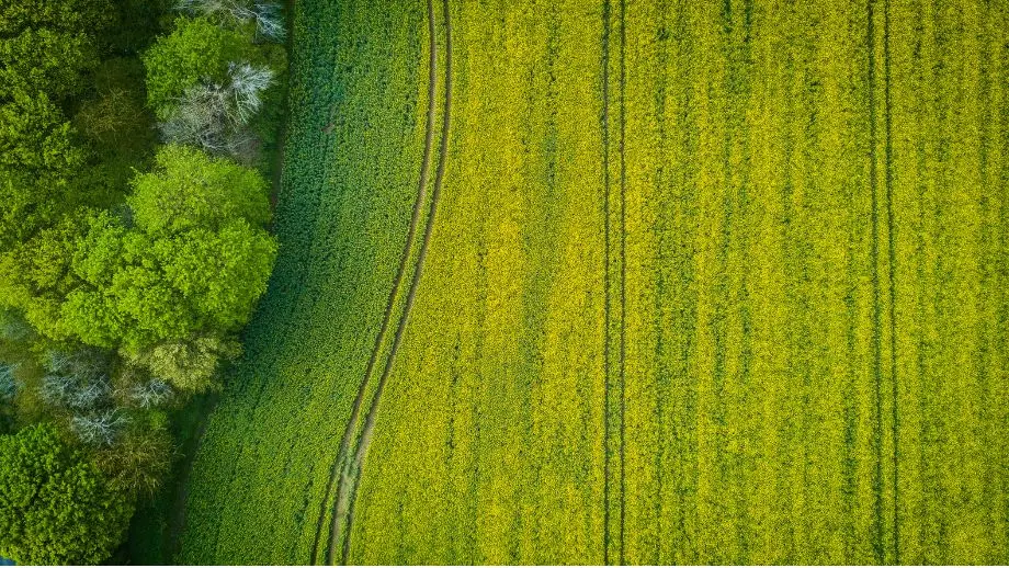 Fields from a birds eye view