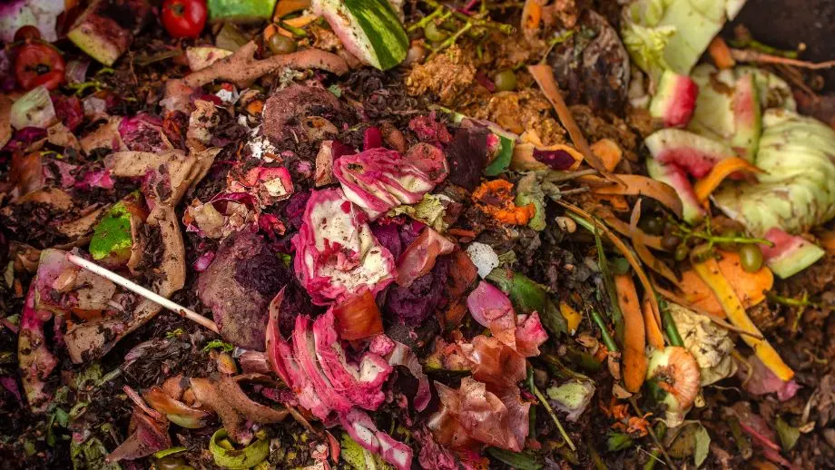 How can we minimise the impact of food waste?