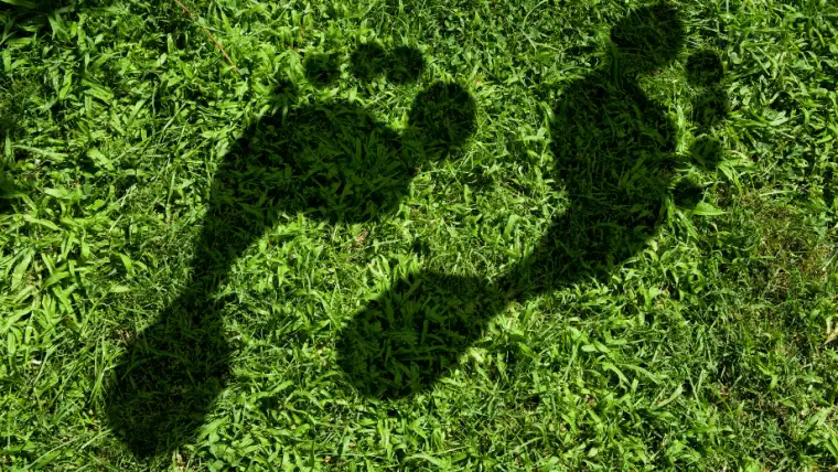 Footprint in grass