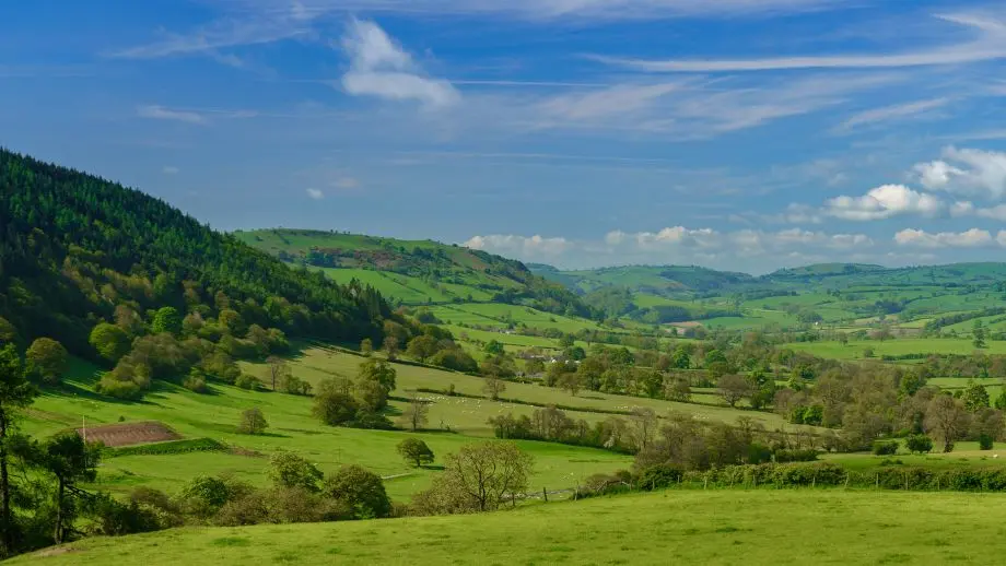 Landscape fields