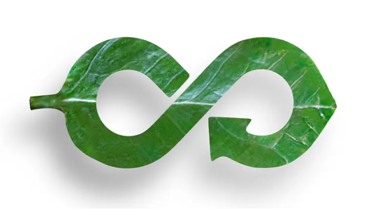 Leaf recycle