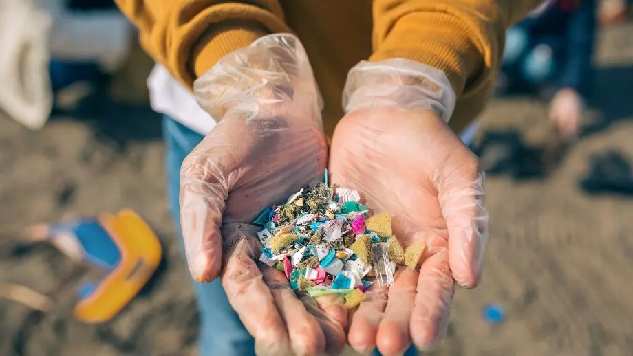 Microplastics: where do they come from?
