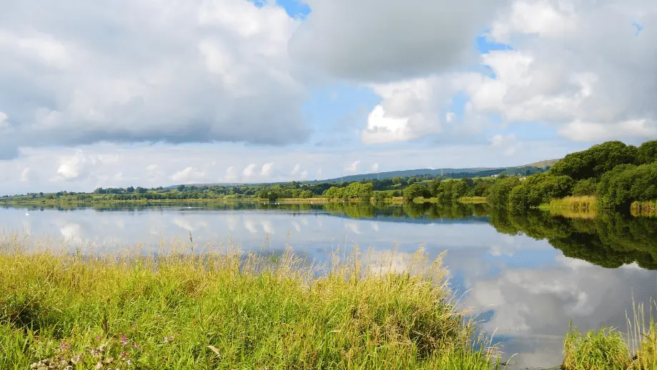 Nature reserve