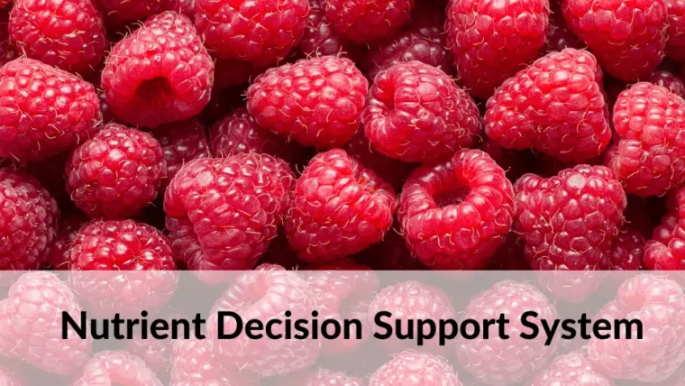 Nutrient Decision Support System