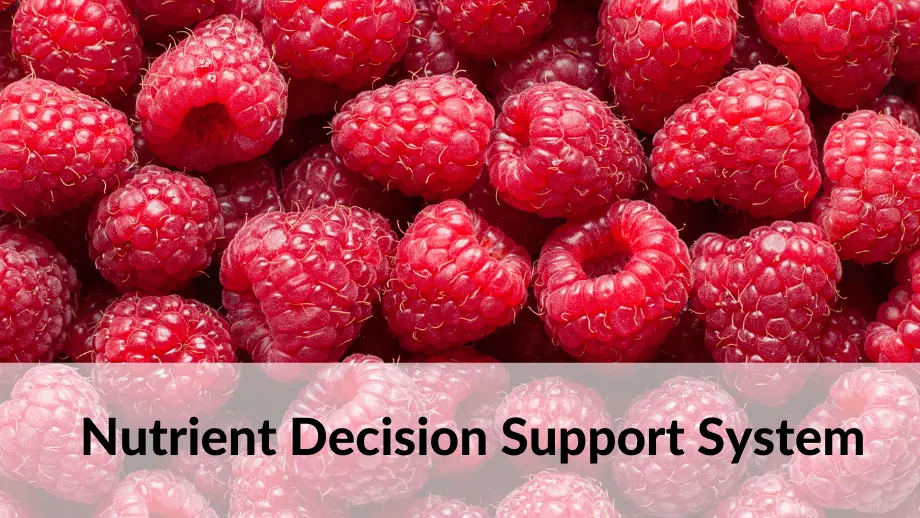 Nutrient decision support system