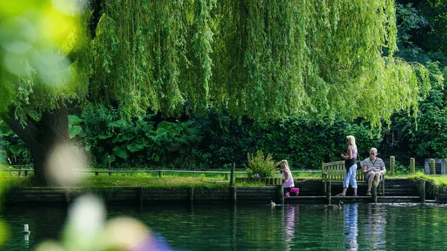 People next to lake