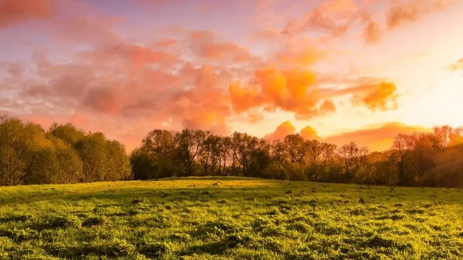 Pink clouds over field