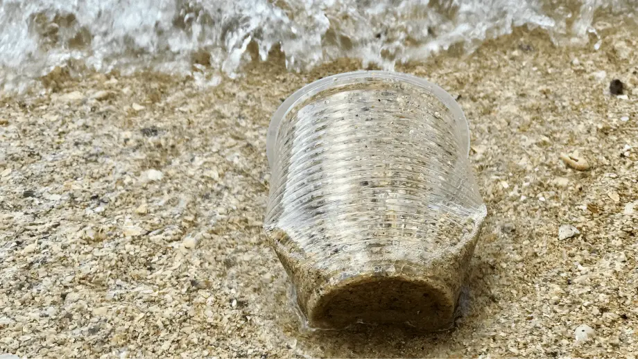 Plastic cup in ocean