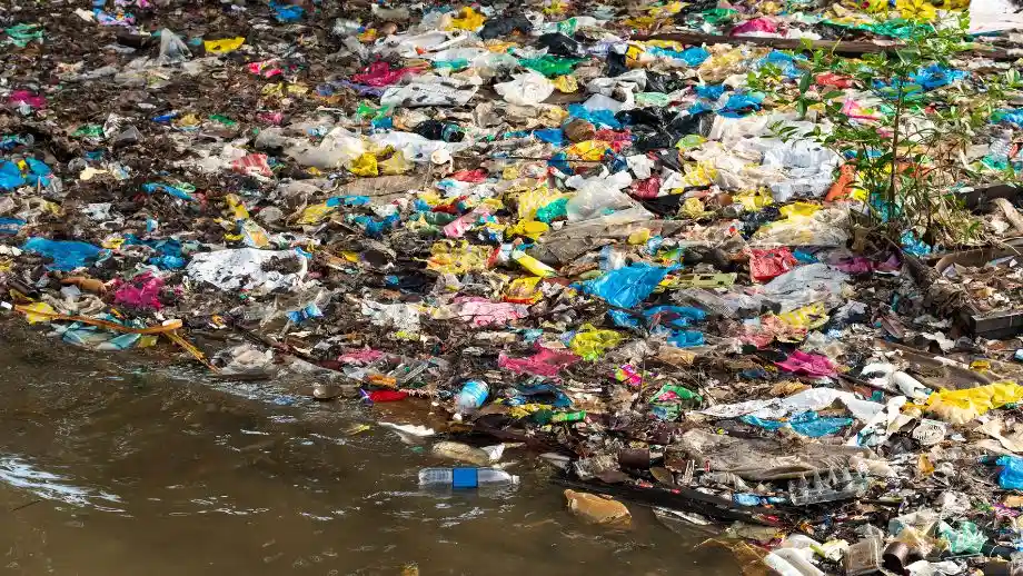 Plastic near river