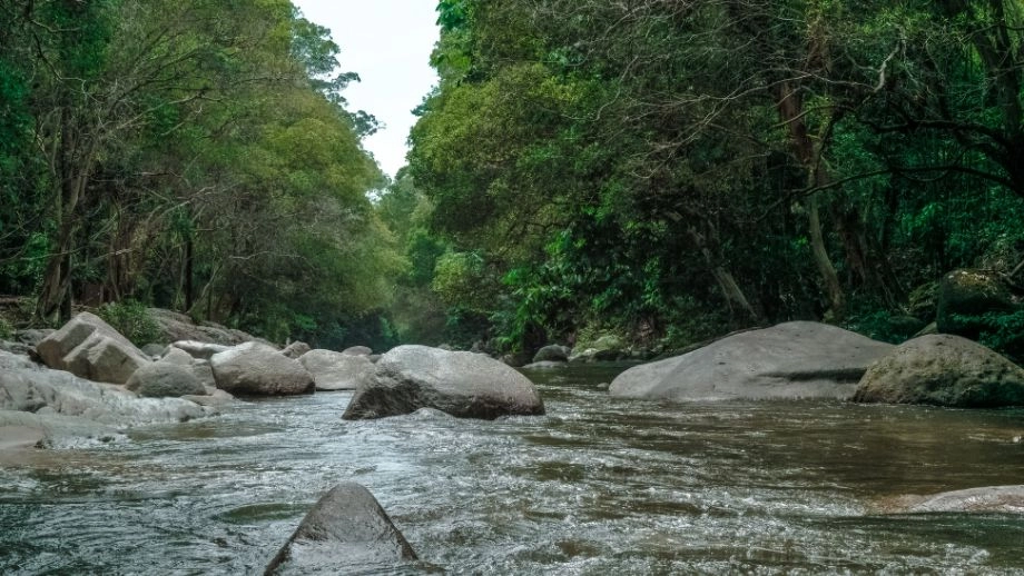 World Water Monitoring Day: a non-negotiable for the UK’s unique natural environment