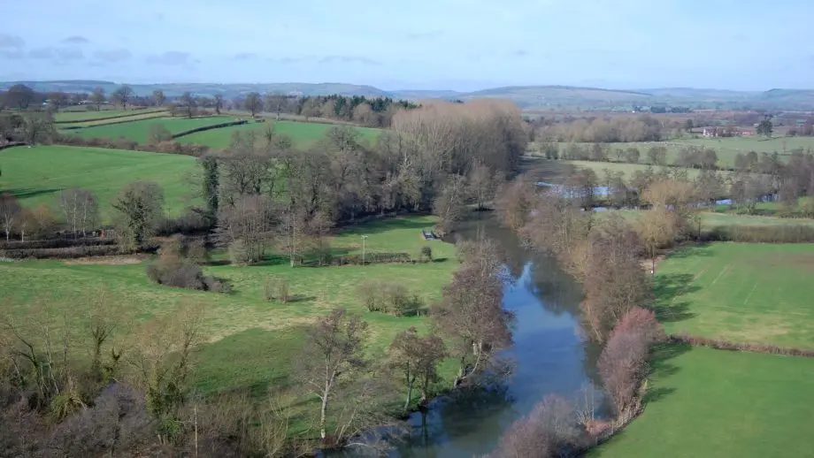 Meandering river