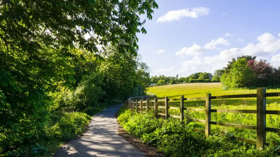 Road in counrtyside