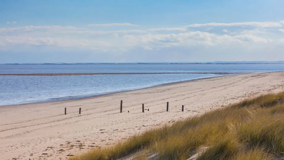 Sand dunes