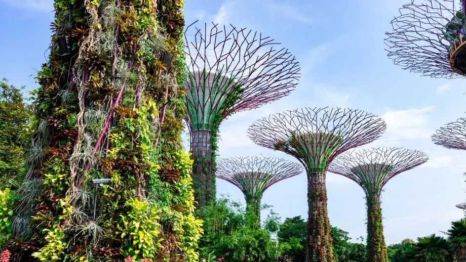 Singapore