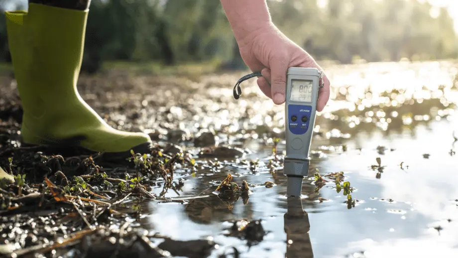 Testing water quality