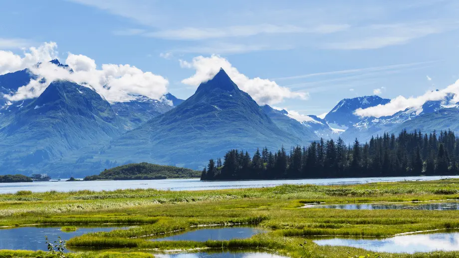 Tongass National forest