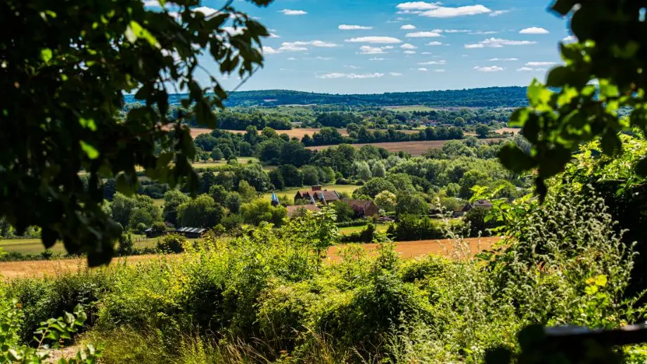 View across fields