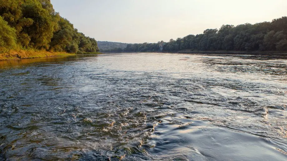 Water quality monitoring