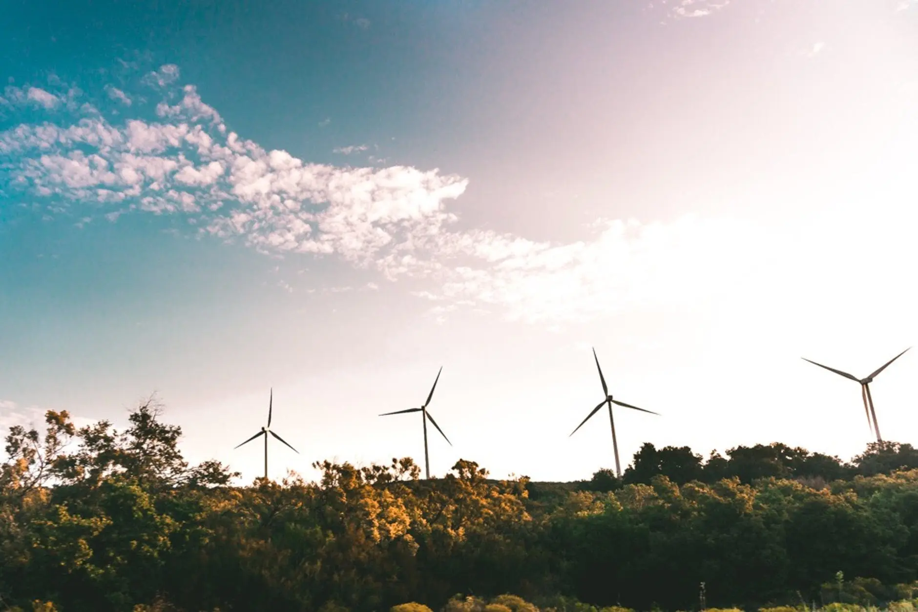 Wind turbines behind trees