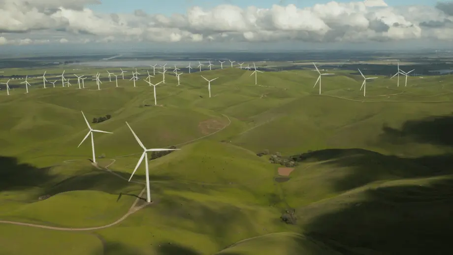 Wind turbines on fields